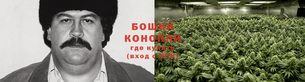 каннабис Алексин