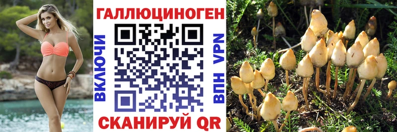 Псилоцибиновые грибы MAGIC MUSHROOMS  Сатка 